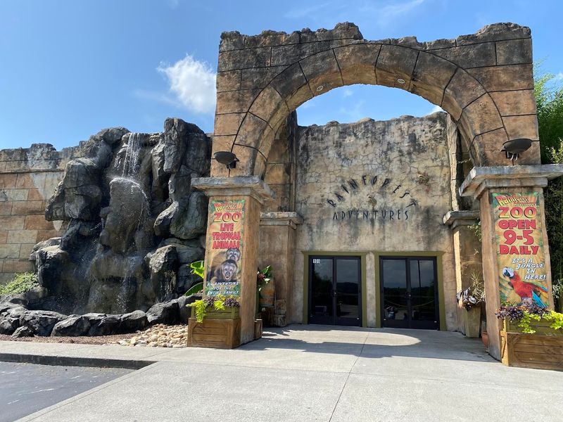 Tips for Planning the Perfect Visit