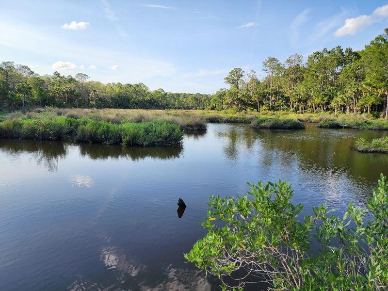 Creek Crossings That Stop You in Your Tracks