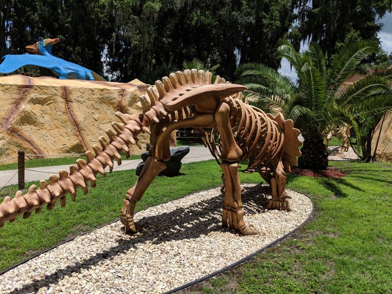 The Museum and Skeleton Garden