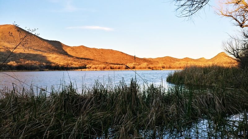 Why This Desert Lake Is Swimmable