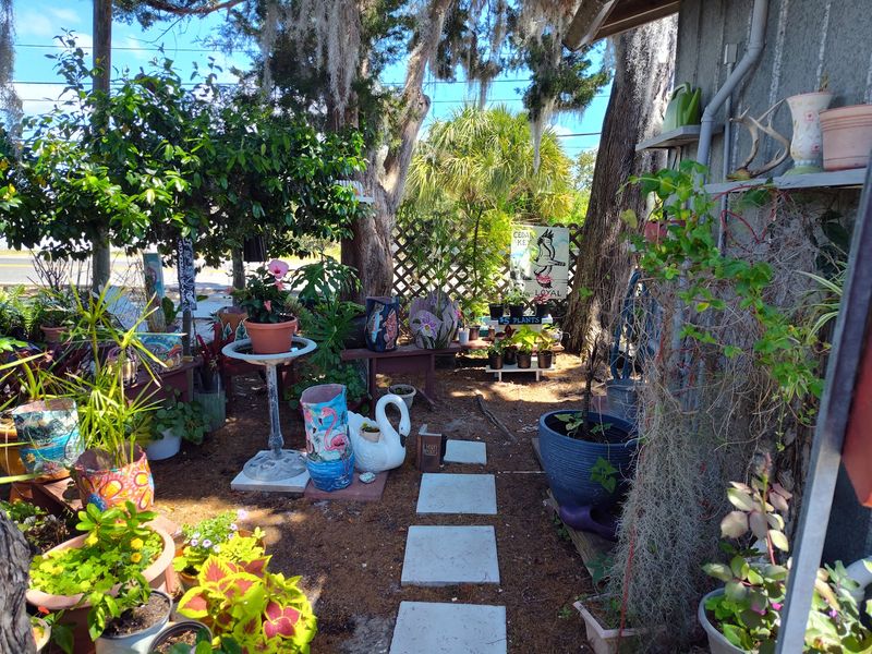 The Garden Out Front Makes A Great First Impression