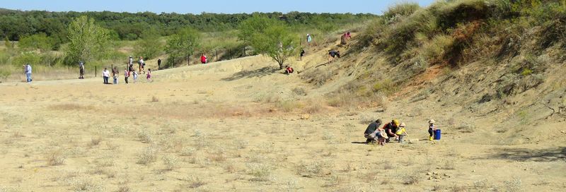 Ancient Treasures Just Lying on the Surface