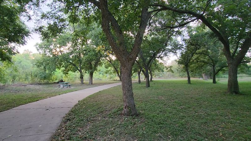 A Historic Pecan Grove That Predates the Park