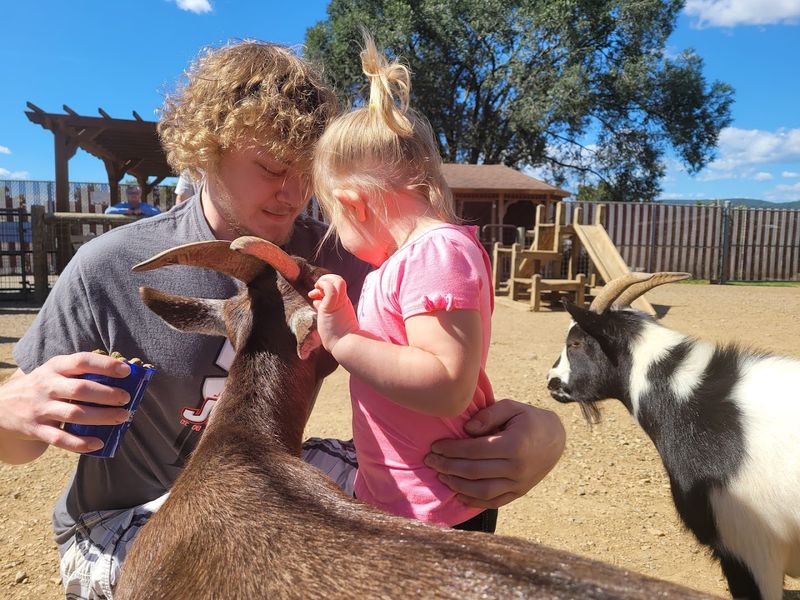 The walk-through zoo offers much more than the safari