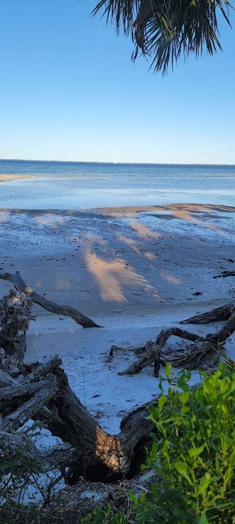 St. Joseph Bay: The Calm Side That Surprises Everyone