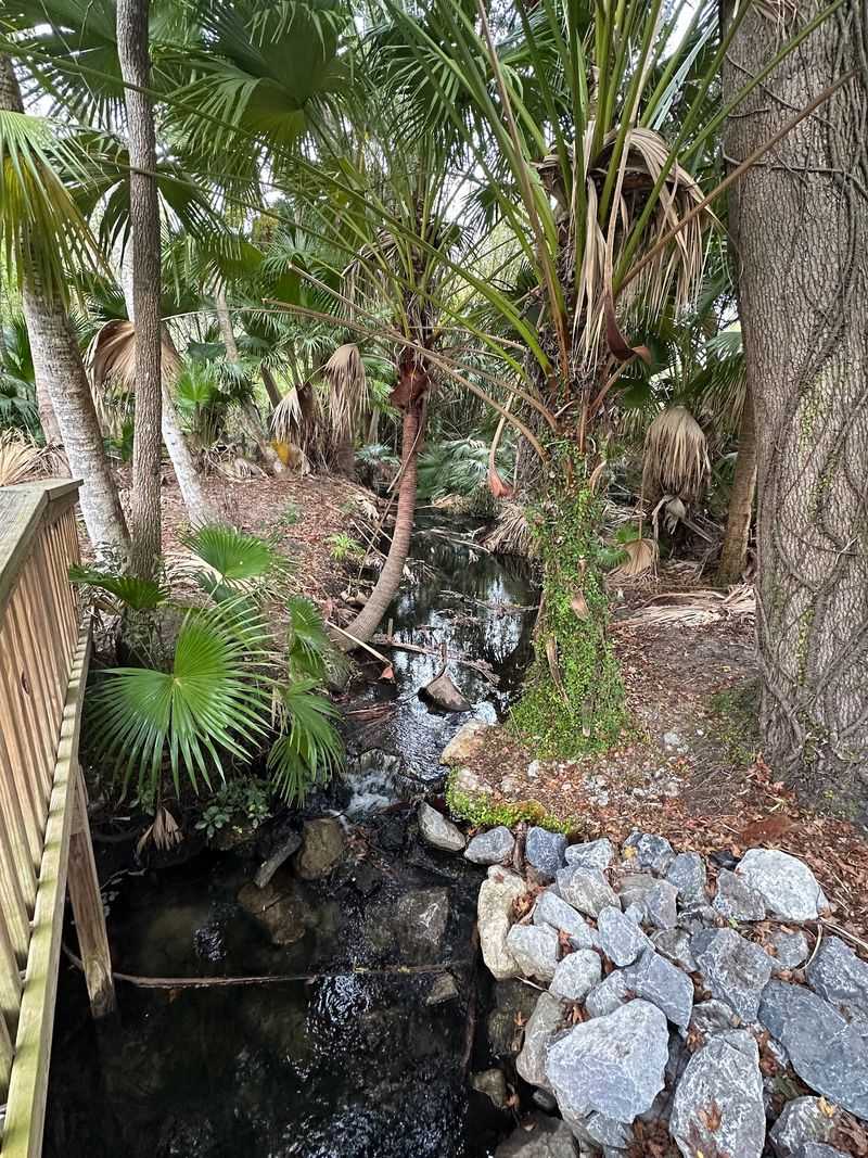 Mead Botanical Garden (Winter Park)
