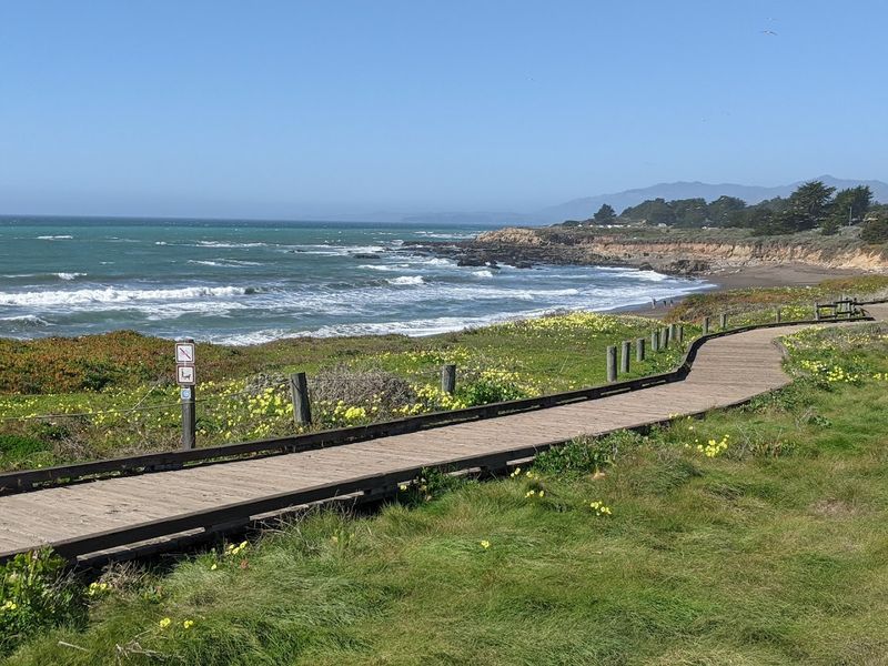 Fiscalini Ranch Preserve