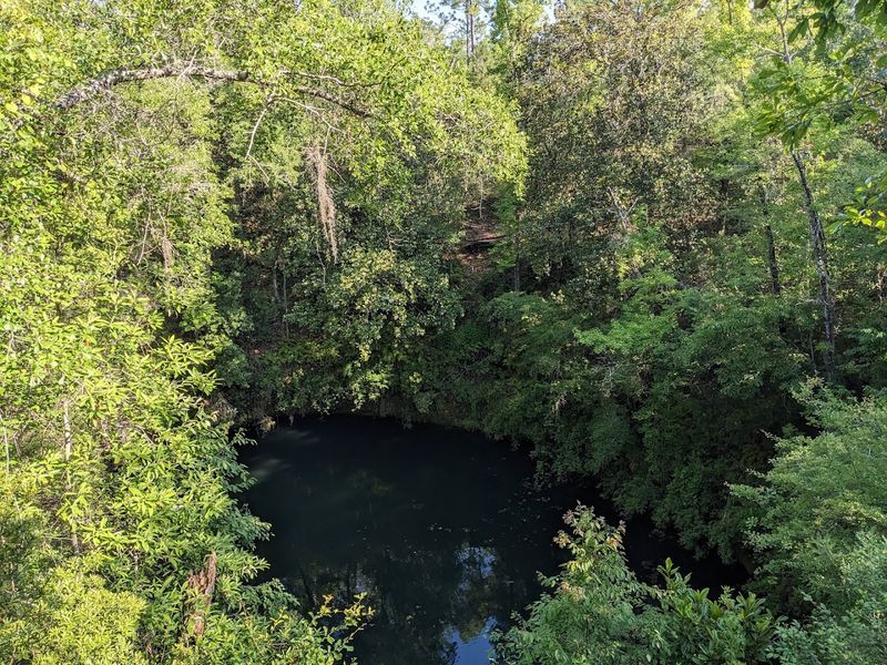 The Big Dismal Sinkhole: Florida's Most Dramatic Hole in the Ground