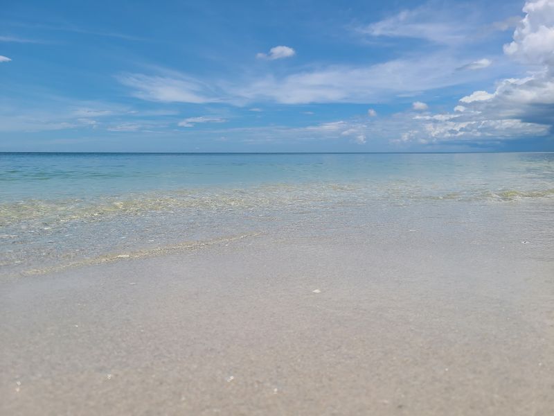 Pristine Beaches With Endless Shells