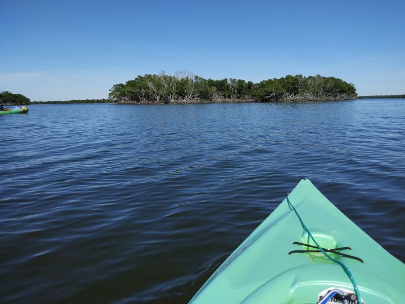 Southwest Florida Wetlands & Ten Thousand Islands Region (Collier & Lee Counties)