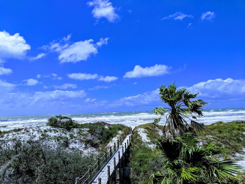 Wildlife and Birding: A Peninsula That Pulls Its Weight