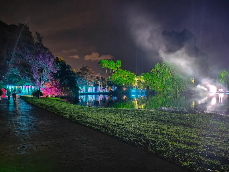 Events, Light Shows, and Memorable Moments