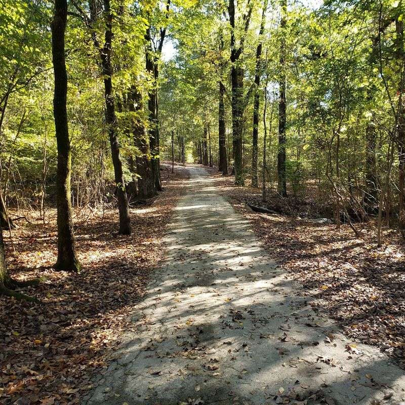 What to know before you visit Oaklawn Garden