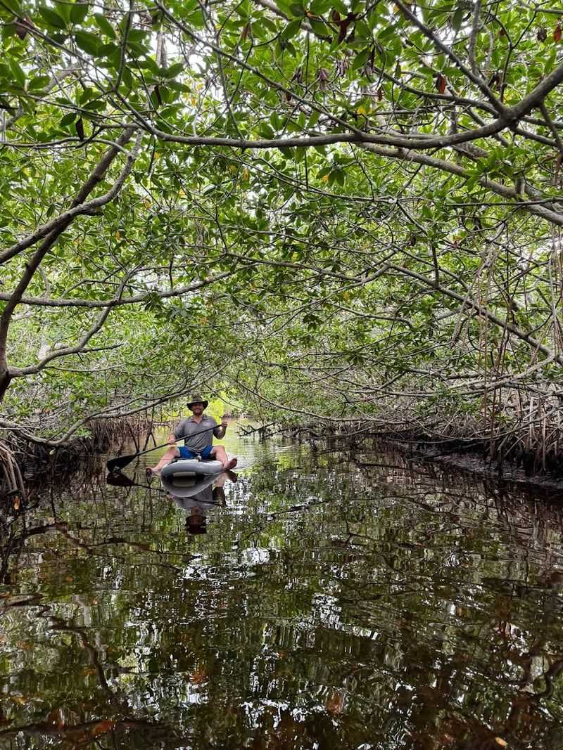 Explore Mangrove Islands and Hidden Channels