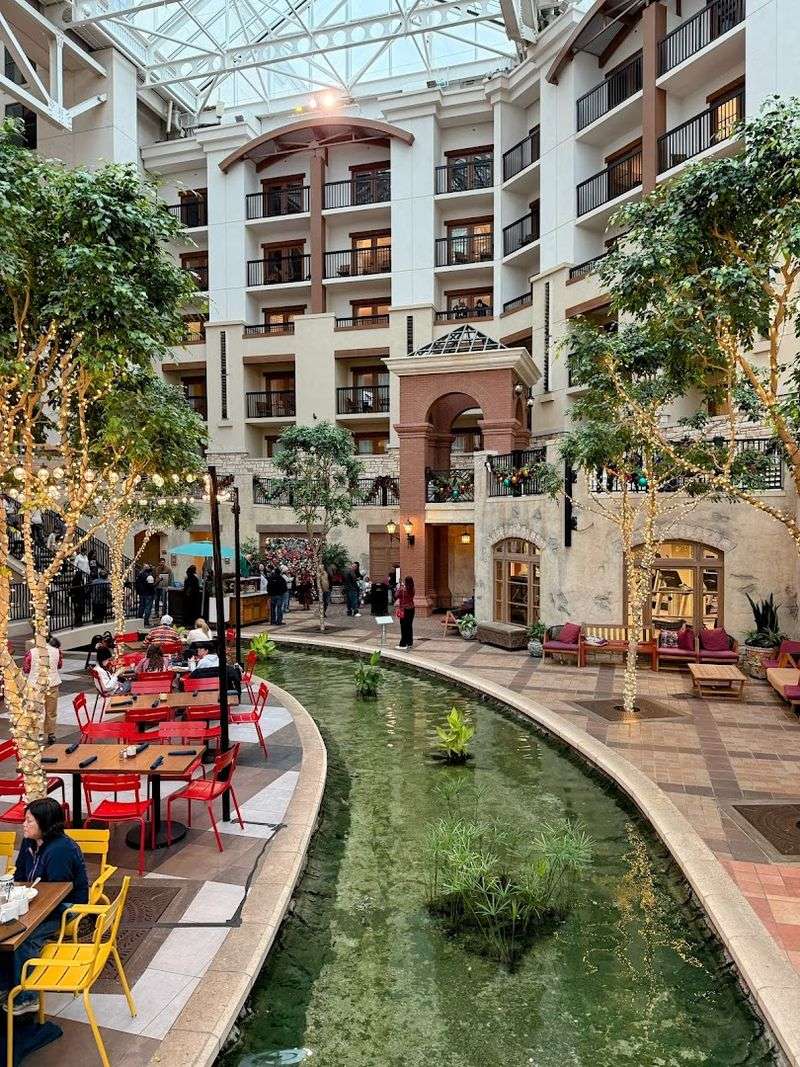 Dining Options That Actually Satisfy Picky Eaters