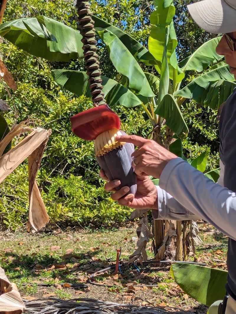 Guided Tasting Tours Worth Every Penny