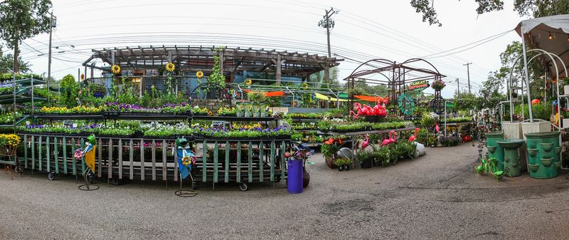 A Massive Selection That Goes Way Beyond Basic Greenery