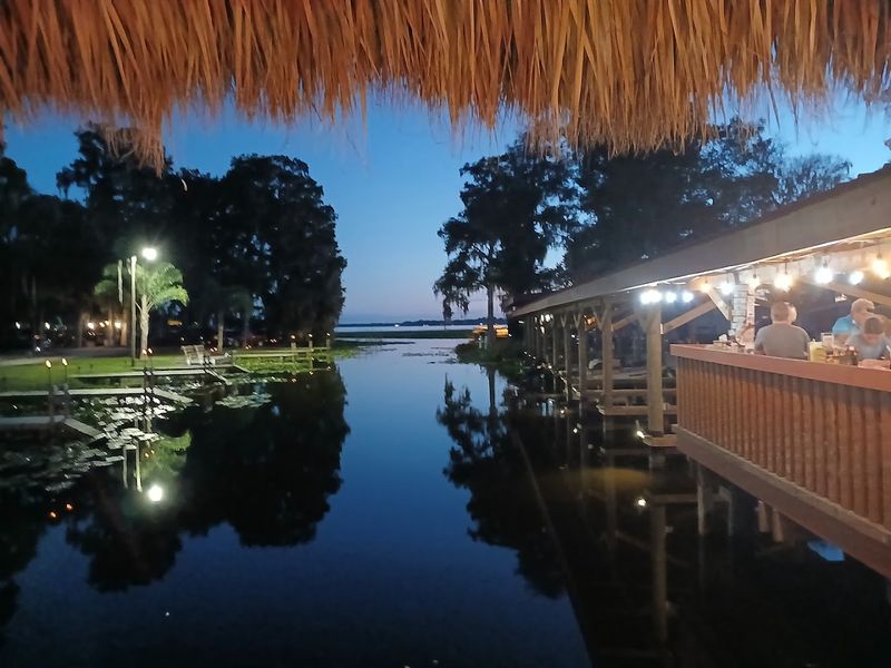 Baby Gators and Wildlife Viewing Right from Your Table