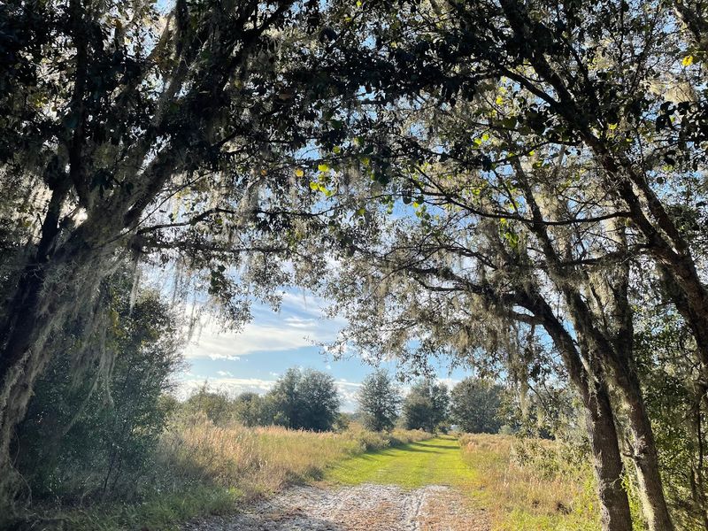 Minimal Amenities Mean Maximum Adventure