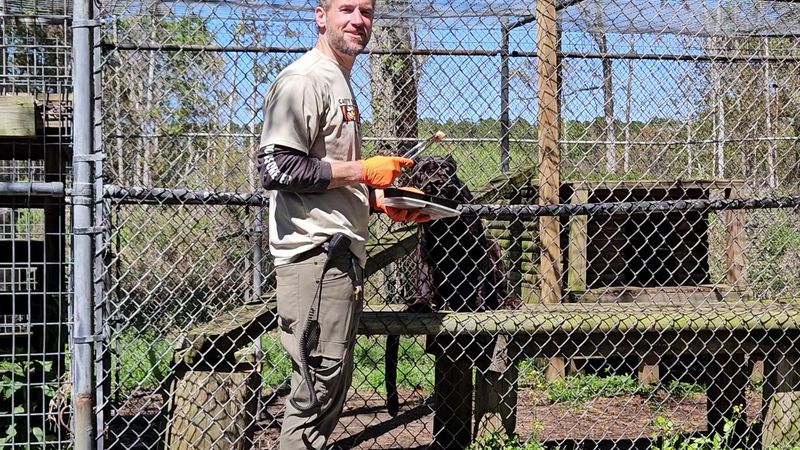 How the Sanctuary Runs on Community, Volunteers, and Heart