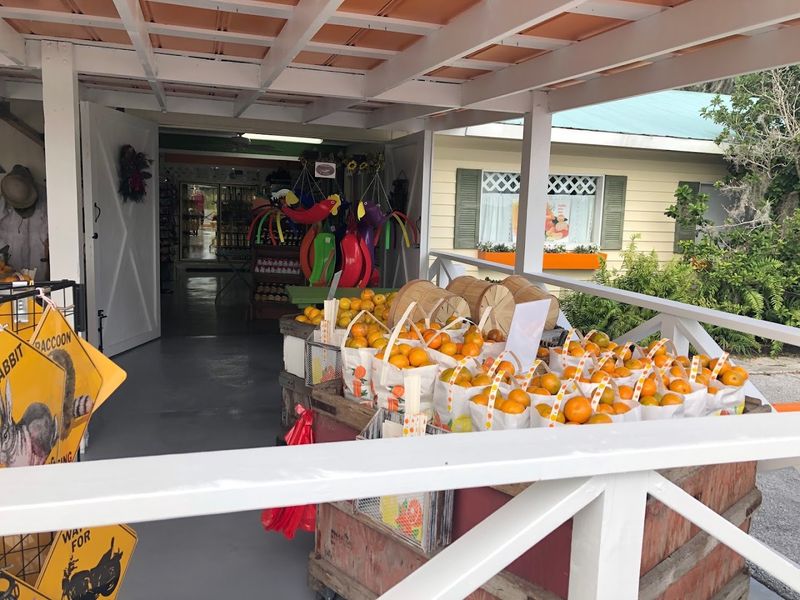 Convenient Location Just Outside Tampa