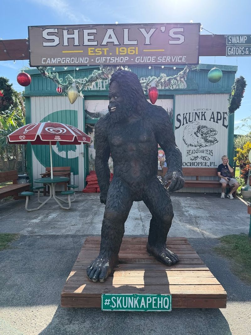Skunk Ape Research Headquarters – Ochopee
