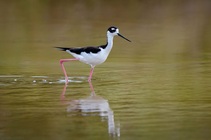 Respecting the Island’s Fragile Ecosystem