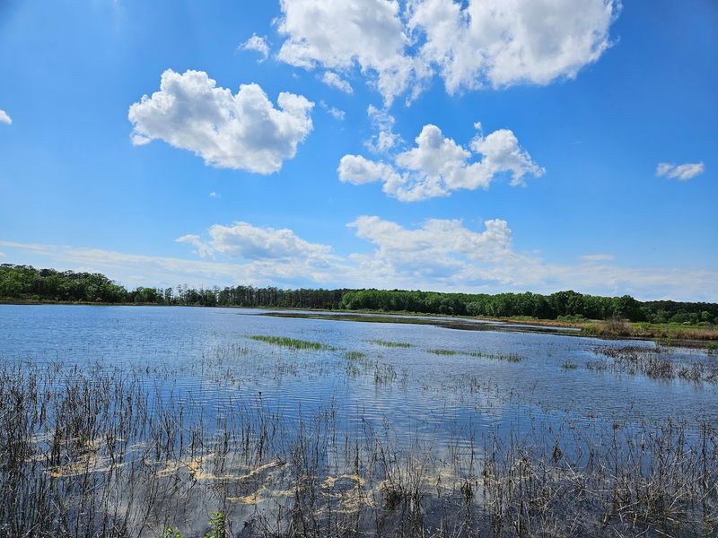 Blackwater National Wildlife Refuge (Cambridge)