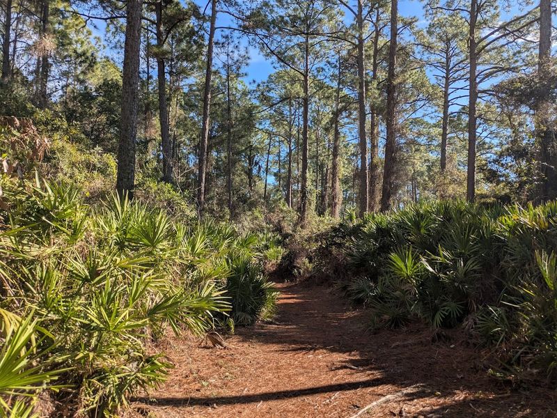 Multiple Trail Loops That Connect and Expand Your Options