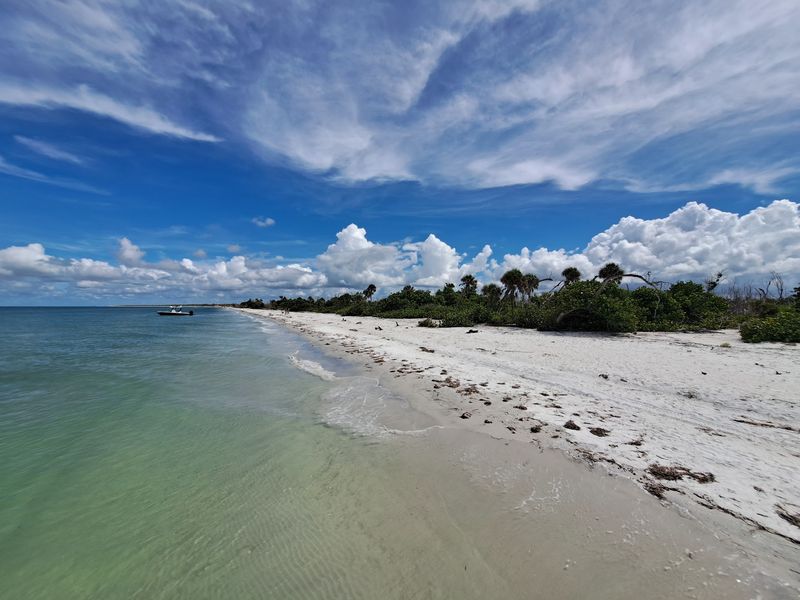 Cayo Costa Island (Boca Grande)