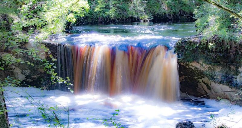 Free Admission To Natural Beauty