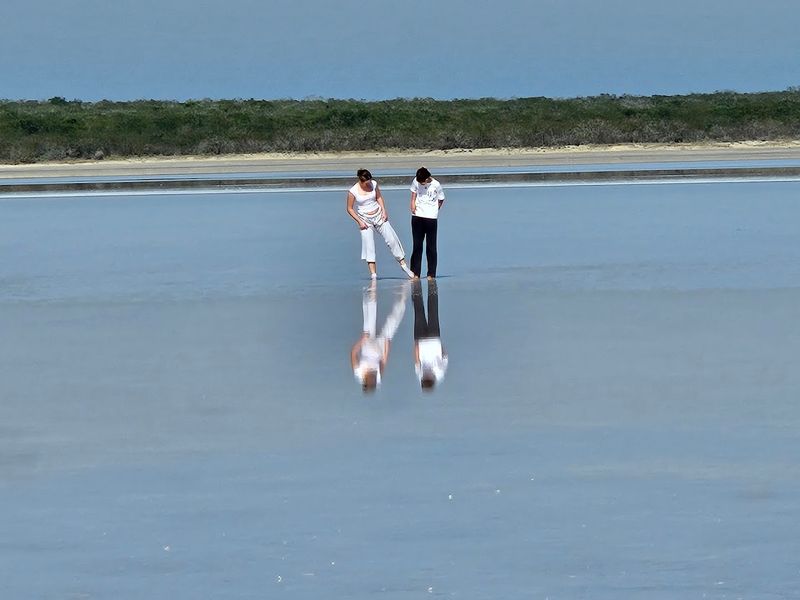 The Science Behind Walking on Water