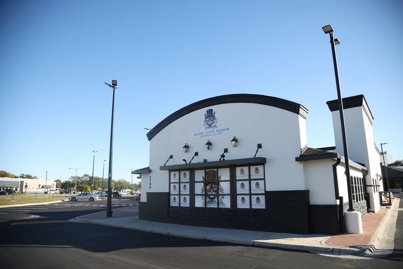 Perfect Location for Tourists and Locals Alike