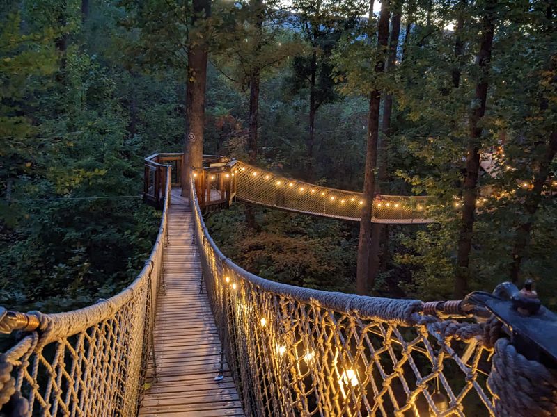 How the Treetop Skywalk Works