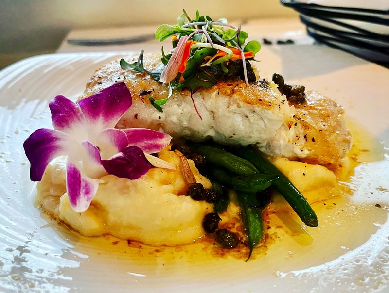 Black Grouper and Other Gulf Favorites