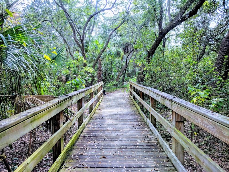 Boyd Hill Nature Preserve (St. Petersburg)