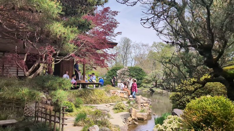 Families and Accessibility Tips