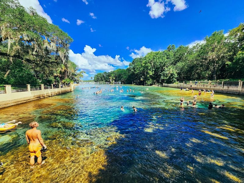 Salt Springs Recreation Area (Salt Springs)