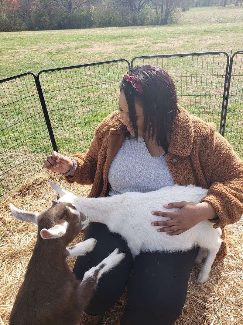 Why Noble Springs Dairy Has Become Such a Beloved Local Destination