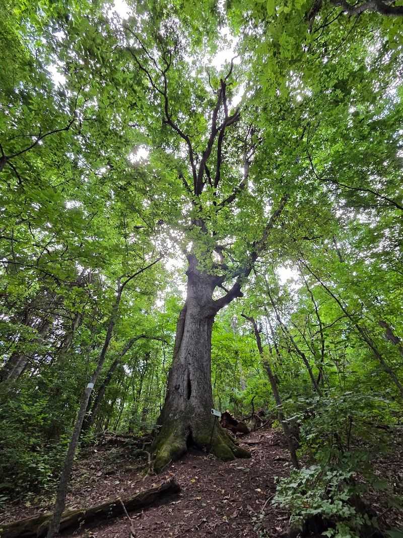 A Home for More Than 2,000 Species of Plants and Wildlife