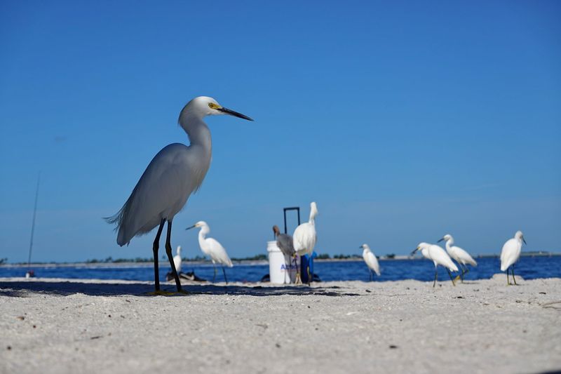 Wildlife Viewing Adds Unexpected Magic