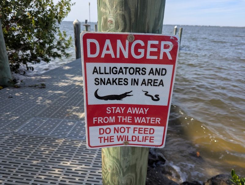 This River Near Orlando Is Home To Alligators—And Sharks Too