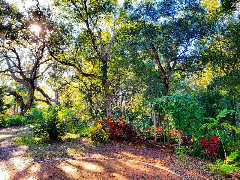 Butterfly Garden Bursting With Color