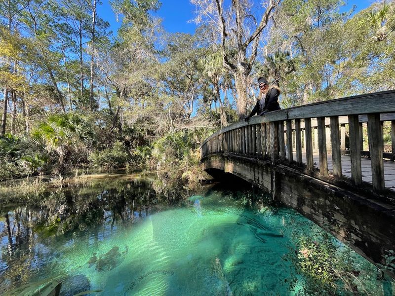 Juniper Springs Nature Trail (Ocala National Forest)