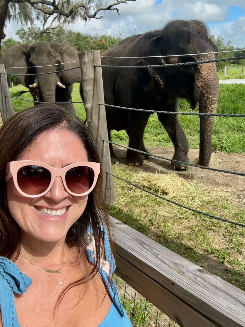 Family Friendly Moments and Photos