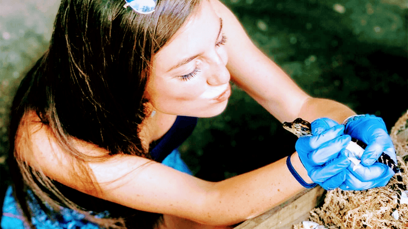 Catch Your Own Baby Alligator Experience