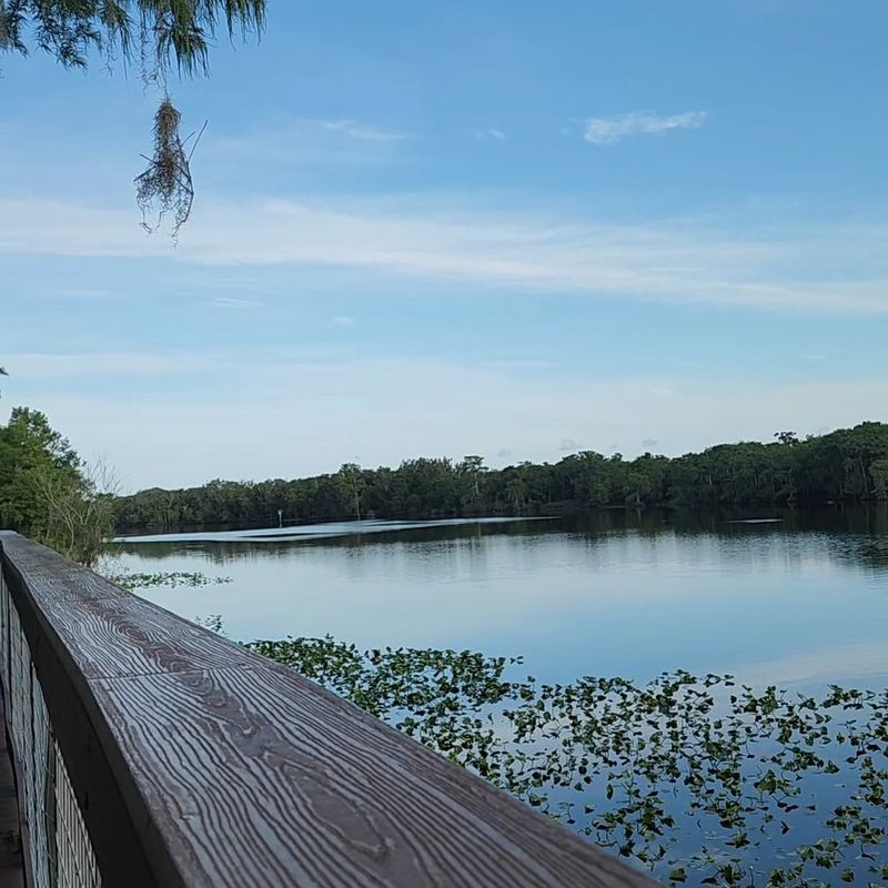 Boardwalks With River Views