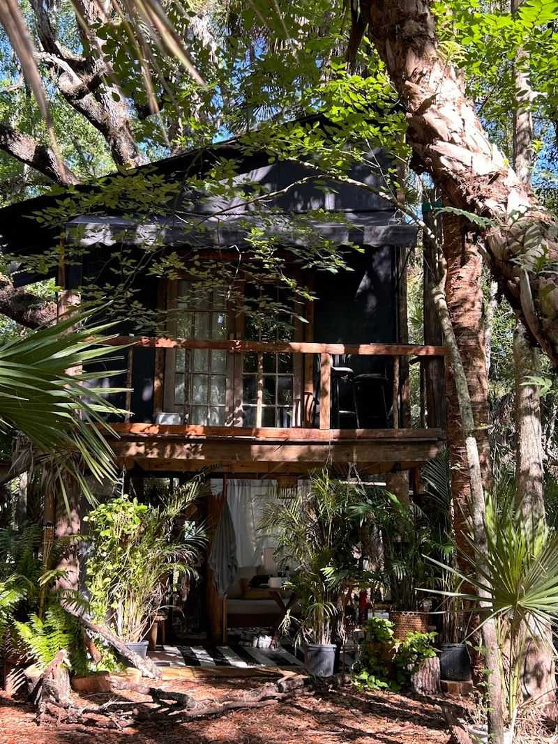 A Treehouse That Actually Lives in the Trees
