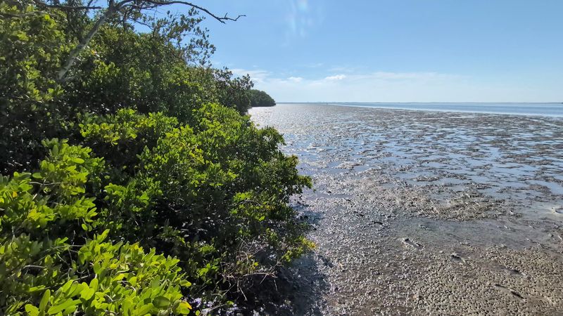 Fishing Spots Where the Bay Meets the Shore
