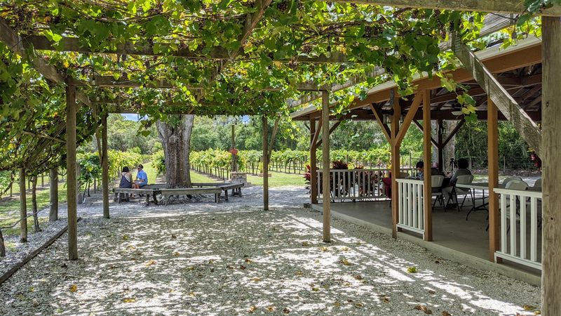 Fiorelli Winery